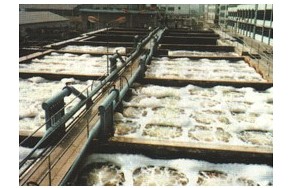 石碣環(huán)評/石碣環(huán)評公司