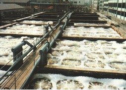 長安環(huán)境評價/長安環(huán)境評價公司